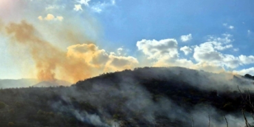 Tekirdağ’da Anız Yangını Ormana Sıçradı!