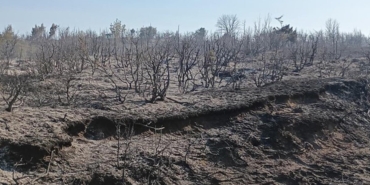 Tekirdağ’da Piknik Alanında Yangın Paniği!