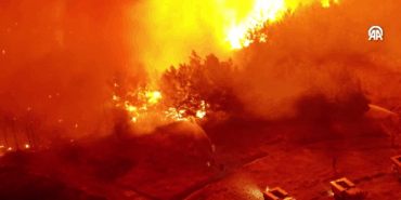 Çanakkale’de Orman Yangını: 77 Yaralı, 348 Kurtarıldı