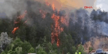 Mengen’de Orman Yangını, Ekipler Mücadele Ediyor!