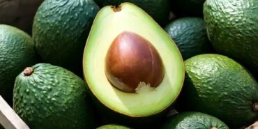 Alanya’da Avokado Satışı: Tane Üzerinden Devam! Alanya’da Avokado Satışı: Tane Üzerinden Devam!