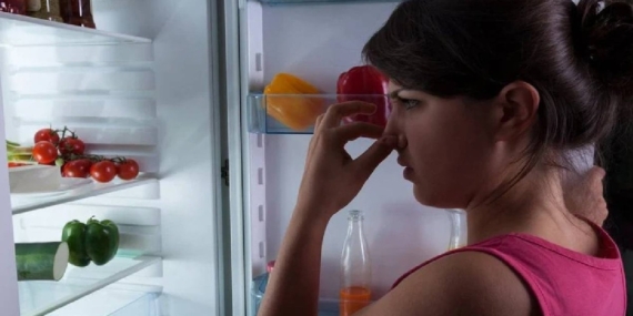 Buzdolabını Ferahlatmanın Doğal Yolları! Buzdolabını Ferahlatmanın Doğal Yolları!