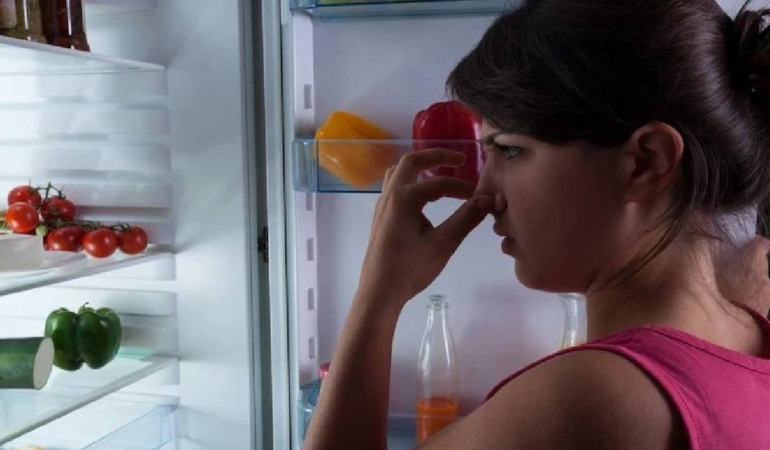 Buzdolabını Ferahlatmanın Doğal Yolları!