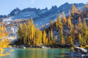 20 Dakika Doğa, Zihinsel ve Fiziksel Sağlık Getiriyor