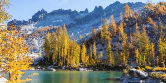 20 Dakika Doğa, Zihinsel ve Fiziksel Sağlık Getiriyor