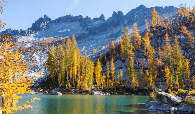 20 Dakika Doğa, Zihinsel ve Fiziksel Sağlık Getiriyor