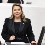 Giresun’daki Dal-Çık Projesi Hayal Kırıklığı Yarattı