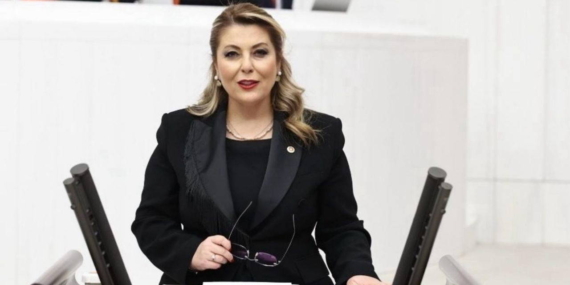 Giresun’daki Dal-Çık Projesi Hayal Kırıklığı Yarattı