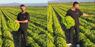 Çiftçiden Kıvırcık Tepkisi: ‘Şerefsizim’ Dedi!