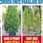 Balıkesir’de 350 Milyonluk Çiçek Skandalı!