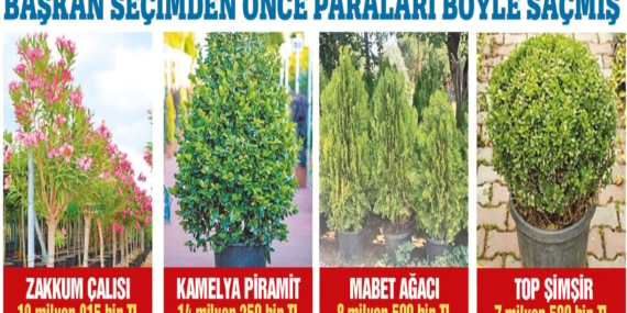 Balıkesir’de 350 Milyonluk Çiçek Skandalı!