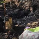 Köyde Korkunç Yangın: Yaşlı Kadın Hayatını Kaybetti!