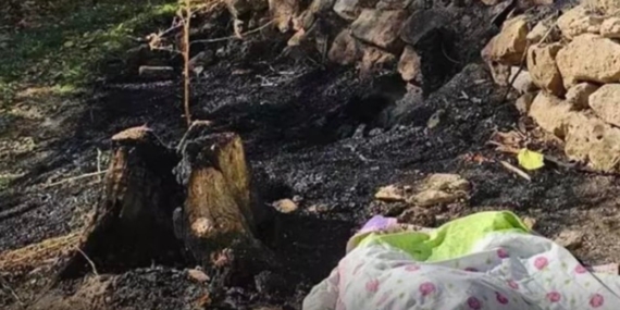 Köyde Korkunç Yangın: Yaşlı Kadın Hayatını Kaybetti!