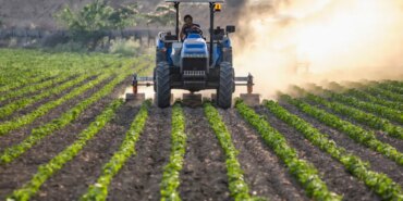 Trump’tan Tarım Ürünlerine Muafiyet Kararnamesi