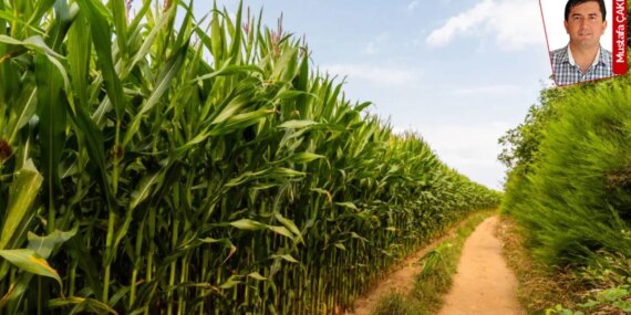 İktidardan Çiftçiye Darbe: 2 Milyon Ton İthalat