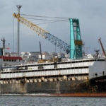 Skandal Gemide Hayvan Kaçakçılığı İddiası!