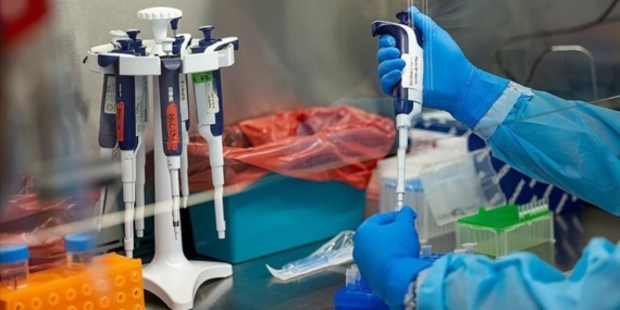 Yeni M Çiçeği Varyantı: Salgın Tehlikesi Kapıda! Yeni M Çiçeği Varyantı: Salgın Tehlikesi Kapıda!