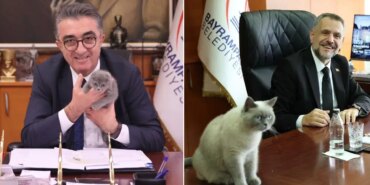 İbrahim Akın, ‘Bulut’a kayyum atadı!