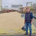 Çeltik Fiyatları Belirsiz, Çiftçi Zorda!