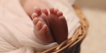 IVF Yatırımı: Ekonomik Getiri ve Gelecek İçin Gereksinim