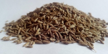 Çörek Otu: Sağlığınıza Lezzet Katıyor!