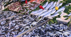 Kışın Bağışıklık İçin Uskumru Tüketin!