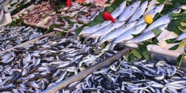 Kışın Bağışıklık İçin Uskumru Tüketin!