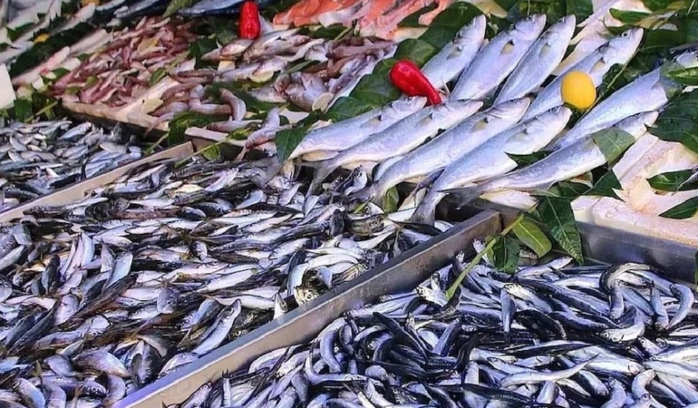 Kışın Bağışıklık İçin Uskumru Tüketin!