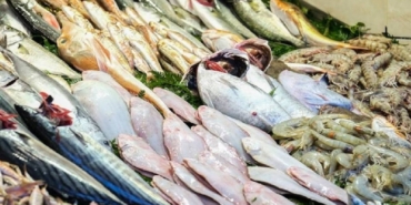 Kışın Sağlıklı Sofraları: Sardalya ve Uskumru