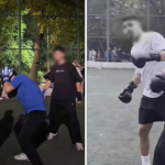 CHP’li Kılıç’tan Yasa Dışı Dövüşlere Tepki