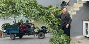 Defne Hasadıyla Aileler Gelir Sağlıyor!