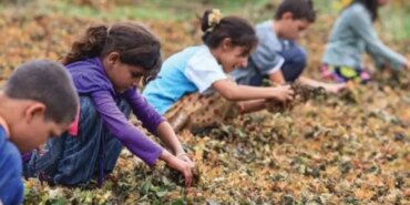 Çocuk Hakları Günü: Türkiye’de Durum Korkutucu!