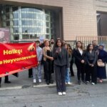 Bakırköy’de Kedilere Kedi Evleri Yapılacak!