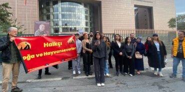 Bakırköy’de Kedilere Kedi Evleri Yapılacak!