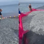 İznik Gölü’nde Rekor Av: 21 Ton Balık Yakalandı!