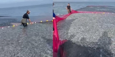 İznik Gölü’nde Rekor Av: 21 Ton Balık Yakalandı!