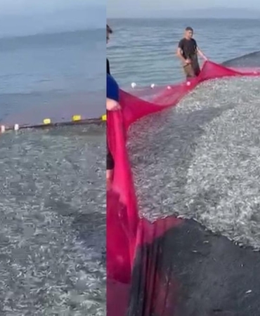 İznik Gölü’nde Rekor Av: 21 Ton Balık Yakalandı!