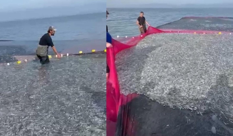İznik Gölü’nde Rekor Av: 21 Ton Balık Yakalandı!