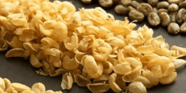 Günde 4 Fincan Kahve, Genç Kalmanın Anahtarı!