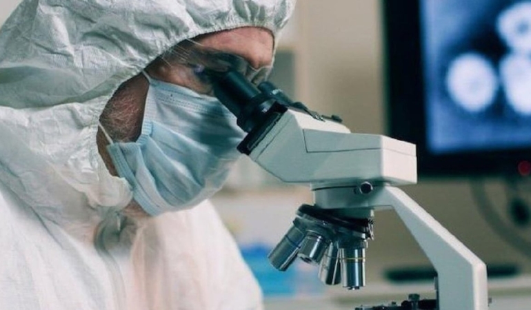 Nijerya’da Lassa Ateşi Salgını: 176 Ölü