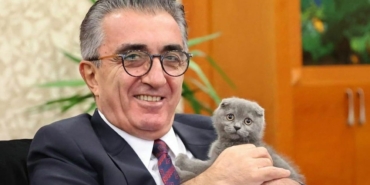 CHP’li Başkanın Kedisi Yeni Yuvasına Kavuştu!