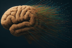 Egzersiz, Alzheimer Riskini Yavaşlatıyor!