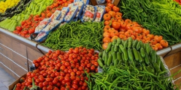 Su Teresi: Sağlığın Gizli Kahramanı!