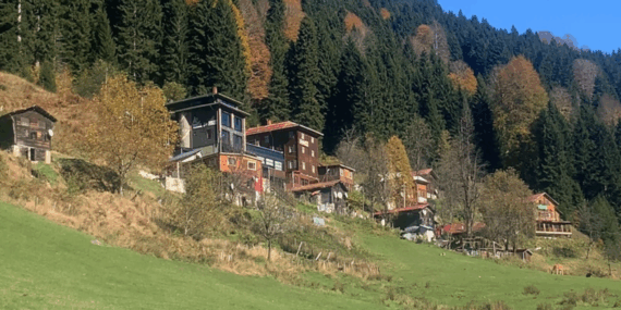 Sonbaharda Ayder Yaylası’nda Sakinlik ve Renkler