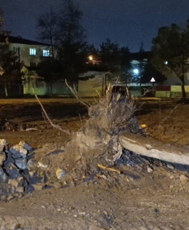 Rüzgarın Devrildiği Ağaç Olası Facianın Önüne Geçti