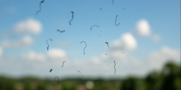 Gözde Uçuşan Cisimler: Tehlike İşareti Olabilir!