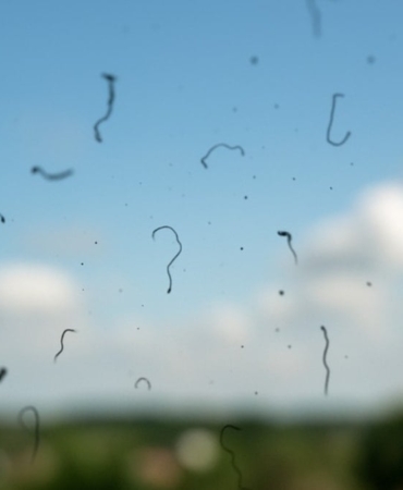 Gözde Uçuşan Cisimler: Tehlike İşareti Olabilir!