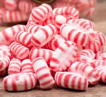 Giba Gıda İflas Sürecine Girdi!