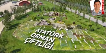 AOÇ’de Satışlar Düşüyor, Zarar Büyüyor!