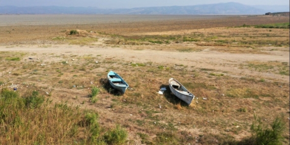 Kuraklık Alarmı! Ekosistem Çöküşte
